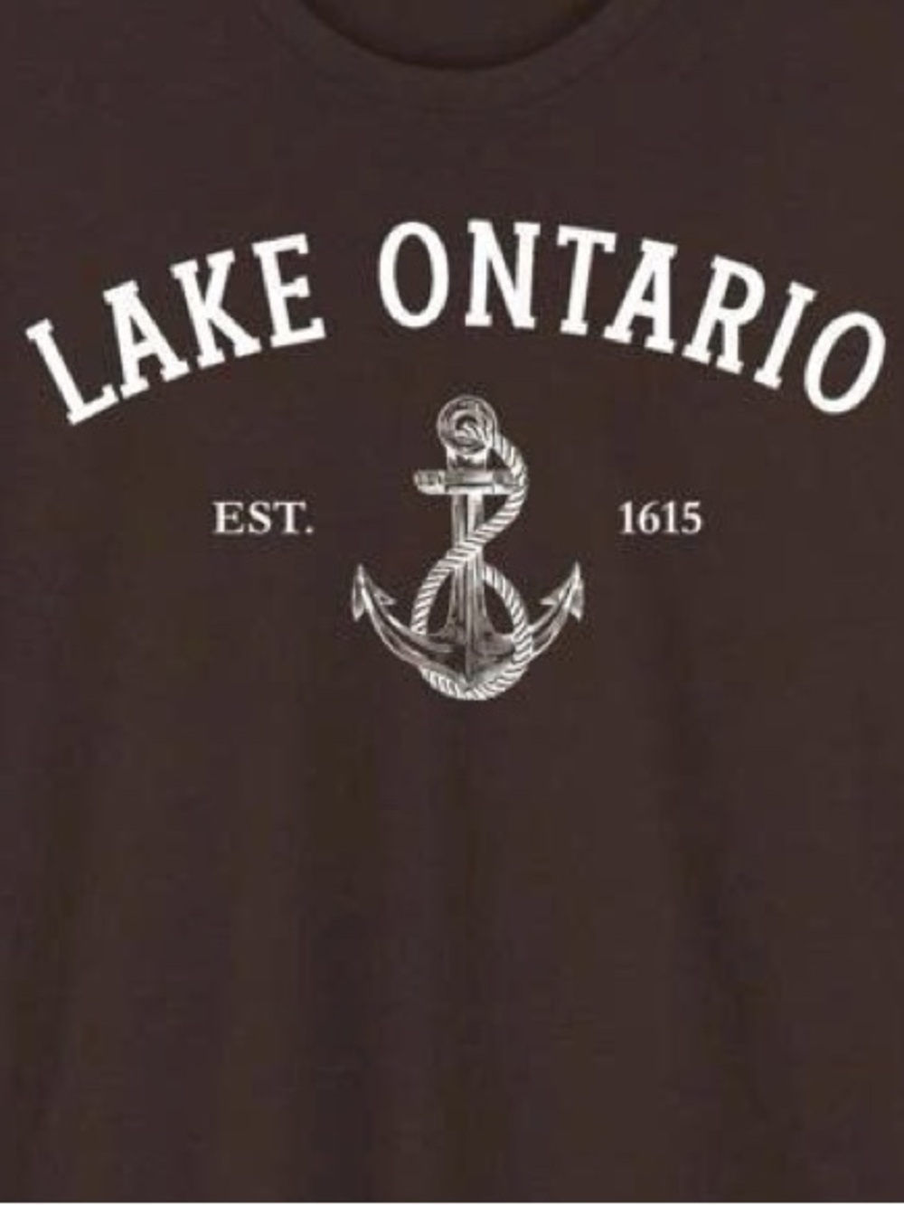 Gildan Brown Lake Ontario Anchor Graphic Tee - Picture 2 of 2